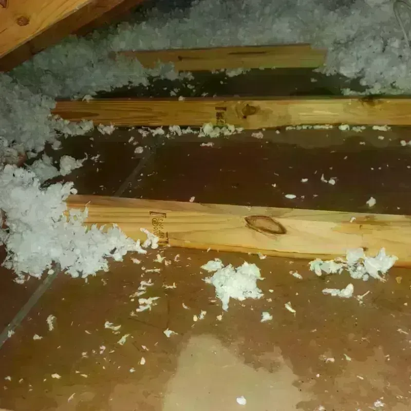 Attic Water Damage in Buckley, WA